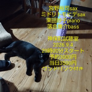 宮野裕司 (sax), ミドリトモヒデ (sax), 栗田妙子 (piano), 落合康介 (bass)
